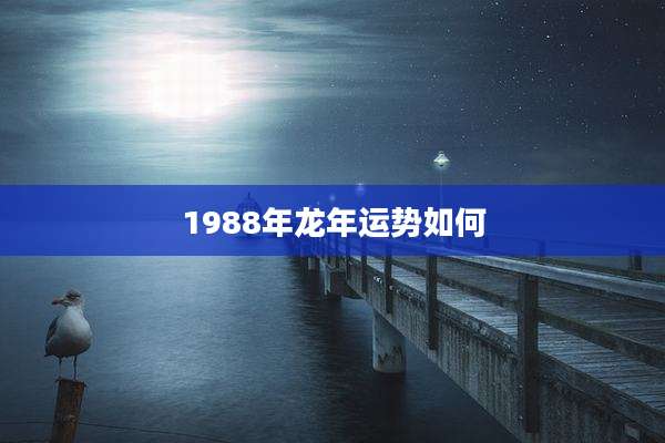 1988年龙年运势如何