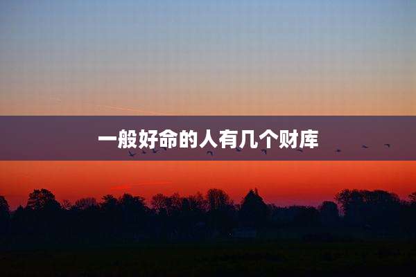 一般好命的人有几个财库