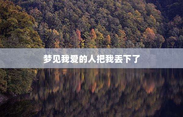 梦见我爱的人把我丢下了