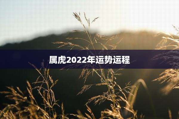 属虎2022年运势运程