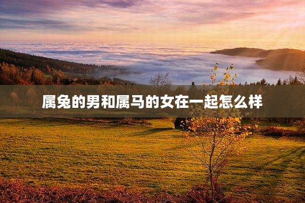 属兔的男和属马的女在一起怎么样
