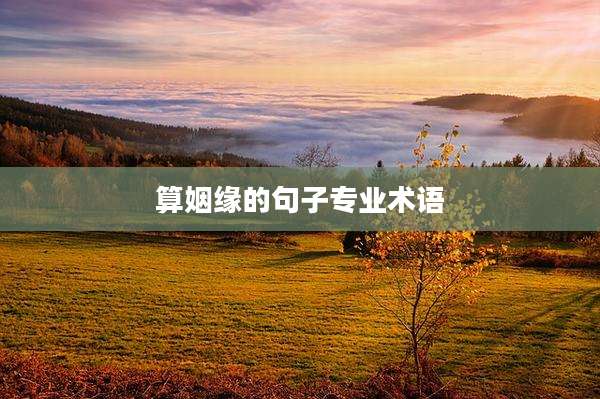 算姻缘的句子专业术语