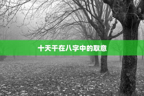 十天干在八字中的取意