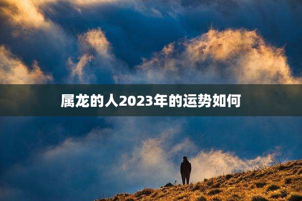 属龙的人2023年的运势如何