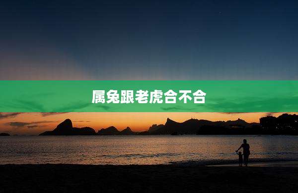 属兔跟老虎合不合