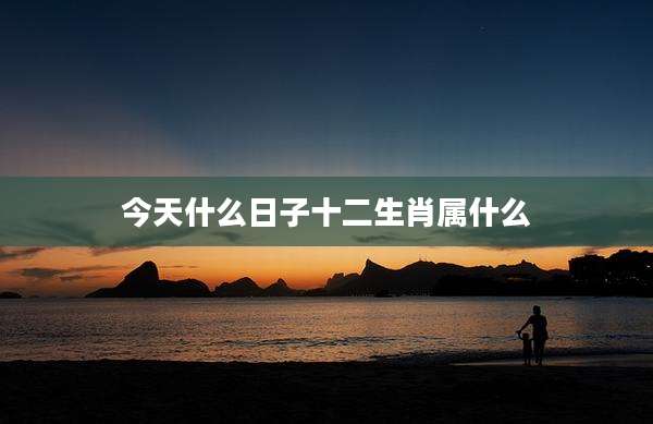今天什么日子十二生肖属什么