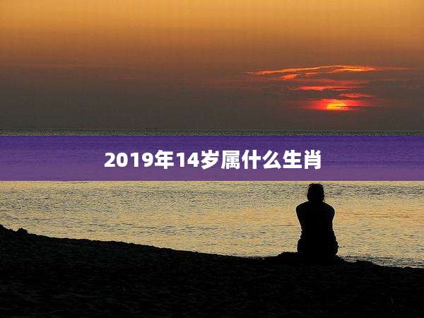 2019年14岁属什么生肖