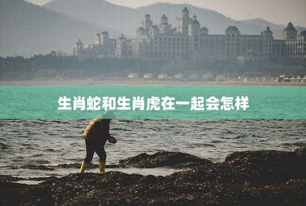 生肖蛇和生肖虎在一起会怎样