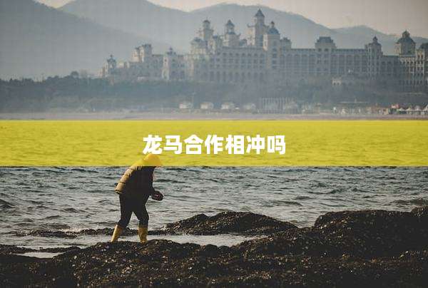 龙马合作相冲吗