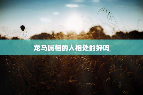 龙马属相的人相处的好吗