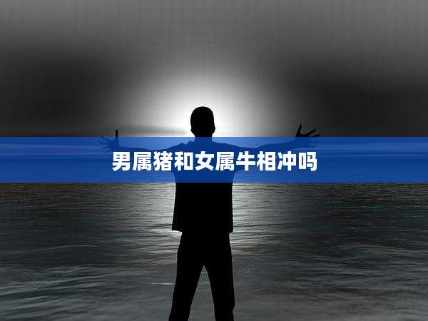 男属猪和女属牛相冲吗