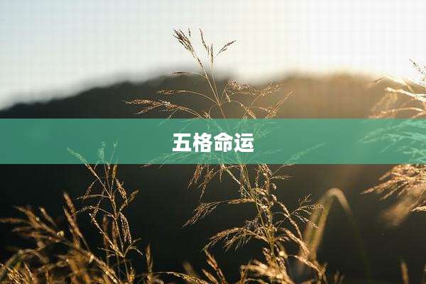 五格命运