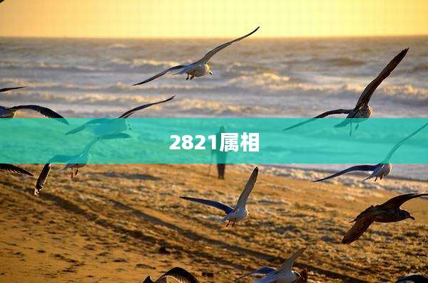 2821属相