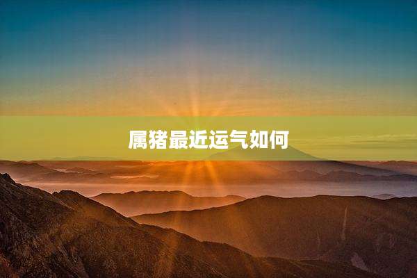 属猪最近运气如何