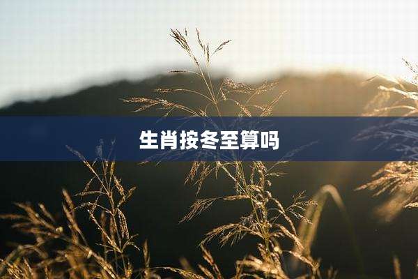 生肖按冬至算吗