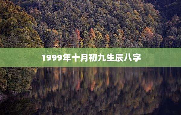1999年十月初九生辰八字