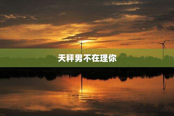 天秤男不在理你