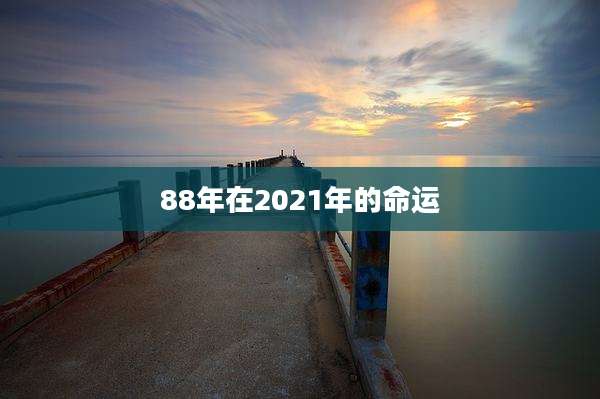 88年在2021年的命运