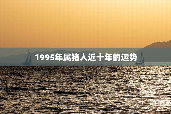 1995年属猪人近十年的运势