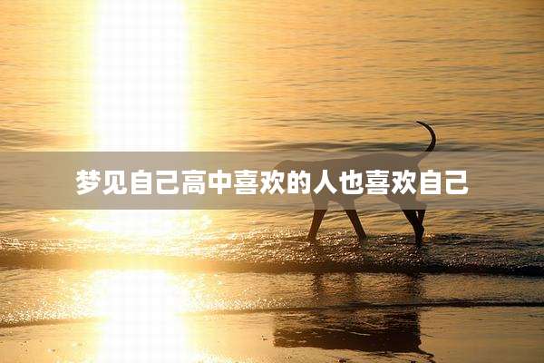 梦见自己高中喜欢的人也喜欢自己