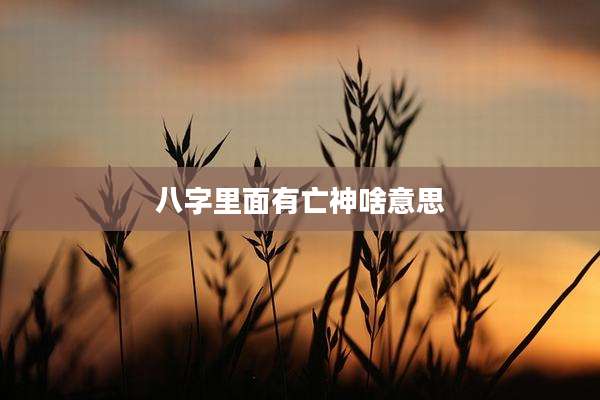 八字里面有亡神啥意思