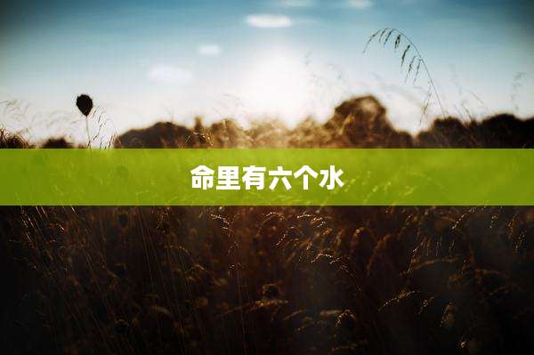 命里有六个水
