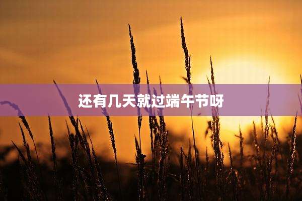 还有几天就过端午节呀