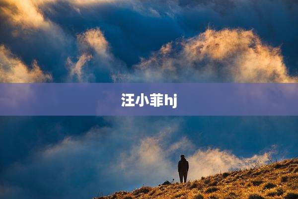 汪小菲hj