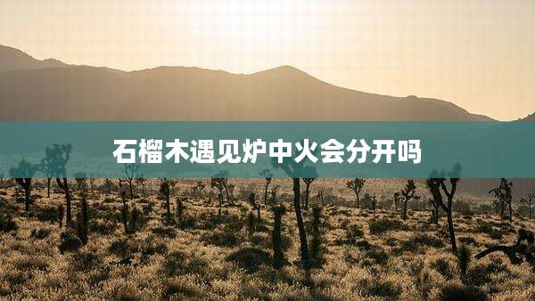 石榴木遇见炉中火会分开吗