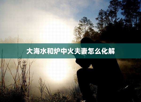 大海水和炉中火夫妻怎么化解