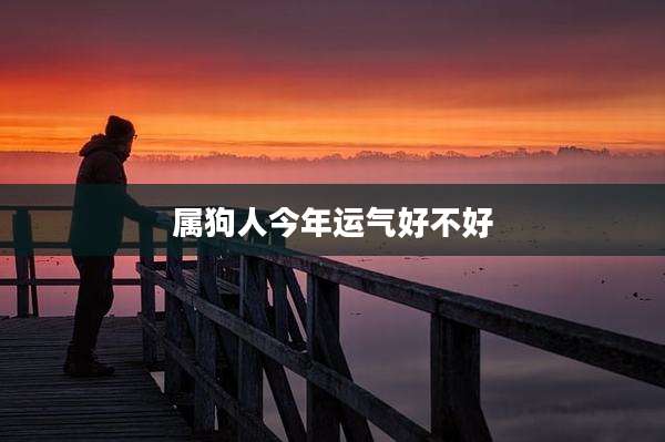 属狗人今年运气好不好