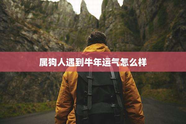 属狗人遇到牛年运气怎么样