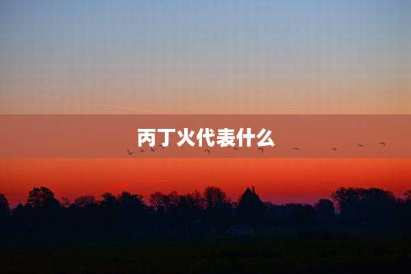 丙丁火代表什么