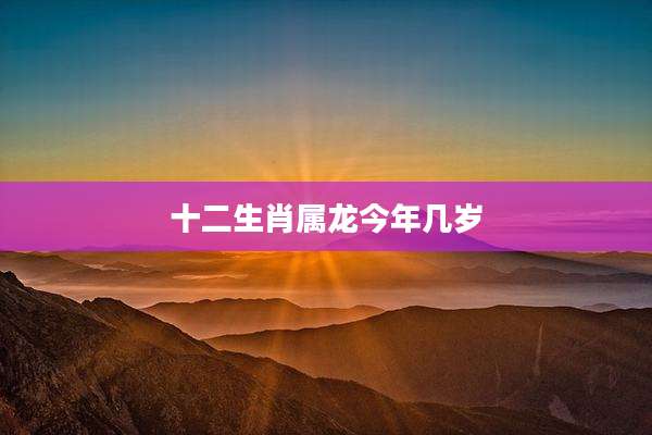 十二生肖属龙今年几岁