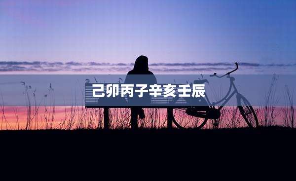 己卯丙子辛亥壬辰