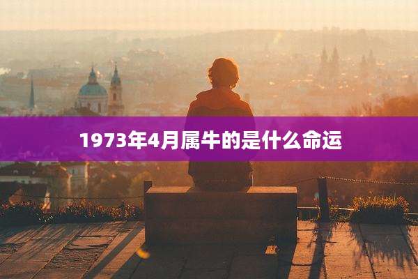 1973年4月属牛的是什么命运
