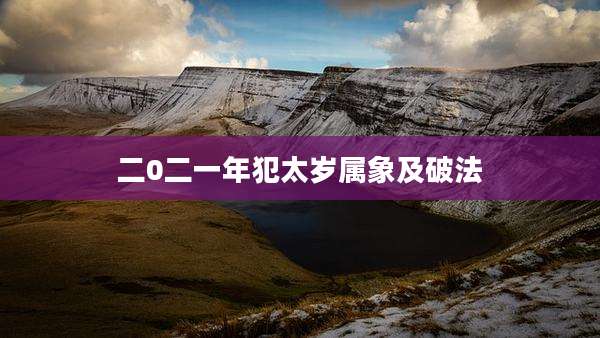 二0二一年犯太岁属象及破法