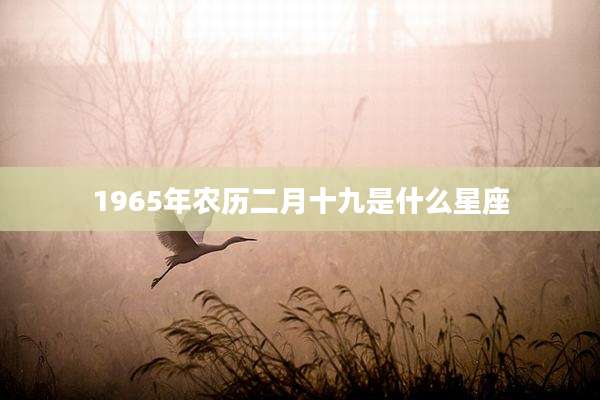 1965年农历二月十九是什么星座