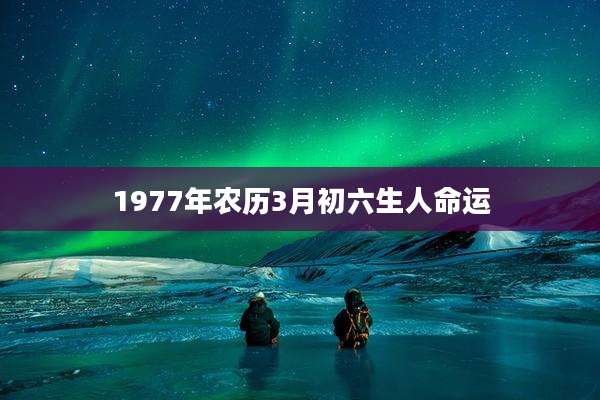1977年农历3月初六生人命运