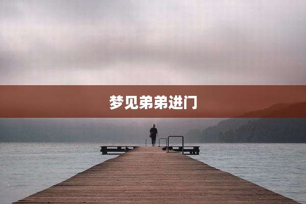 梦见弟弟进门