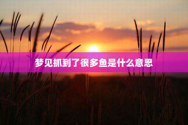 梦见抓到了很多鱼是什么意思
