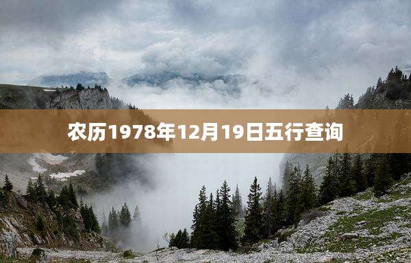 农历1978年12月19日五行查询