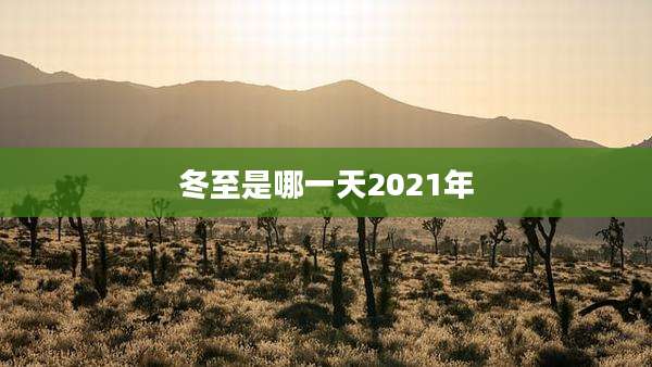冬至是哪一天2021年