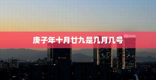 庚子年十月廿九是几月几号