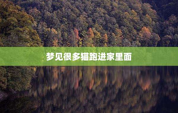 梦见很多猫跑进家里面