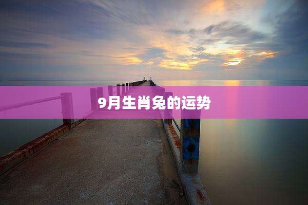 9月生肖兔的运势