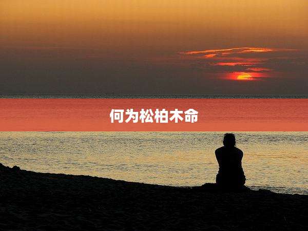 何为松柏木命