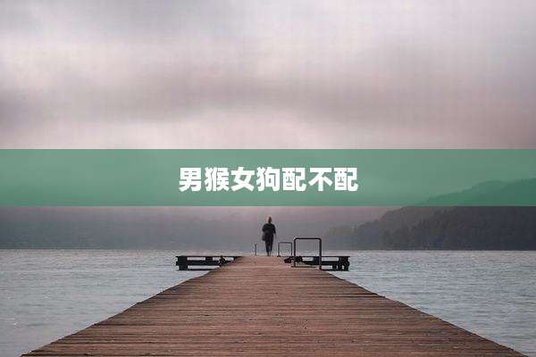 男猴女狗配不配