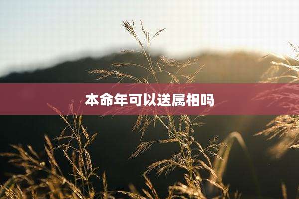本命年可以送属相吗