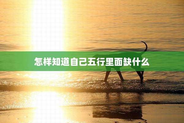怎样知道自己五行里面缺什么